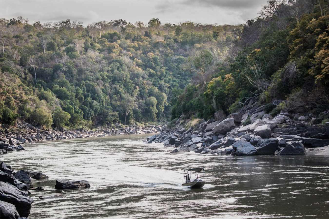 Boat safari in the Selous