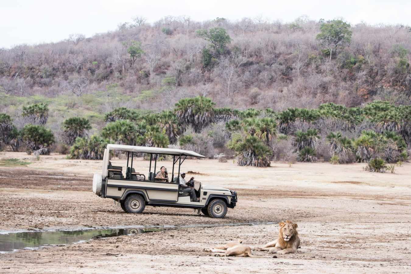Game drives in the Selous