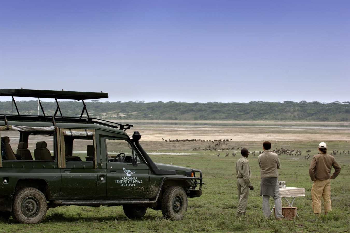 Game drive - Serengeti under Canvas