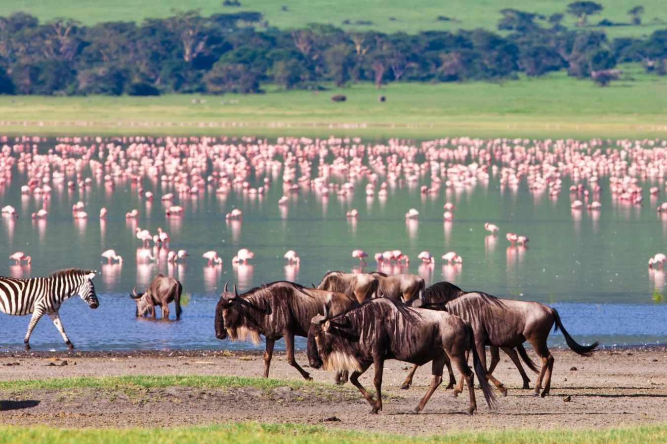 Ngorongoro Crater - Lakes, Craters and Kopjes
