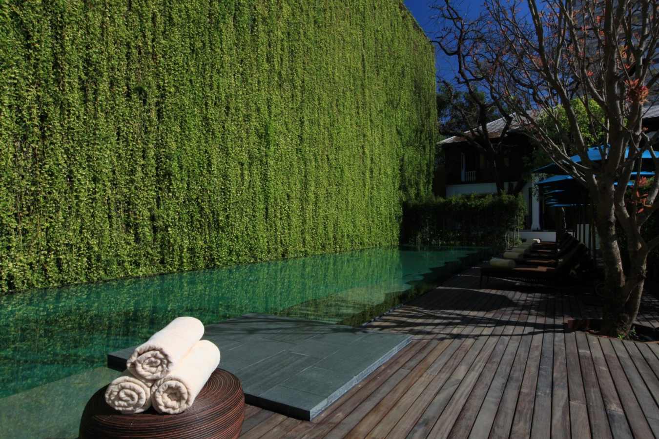 Swimming Pool - 137 Pillars House