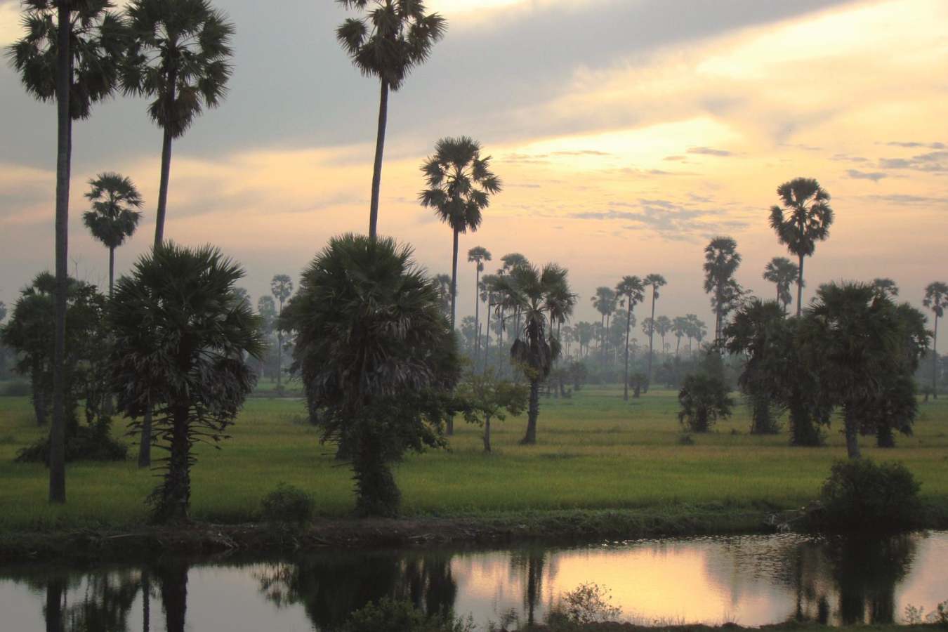 Sunrise Views - Eastern & Oriental Express