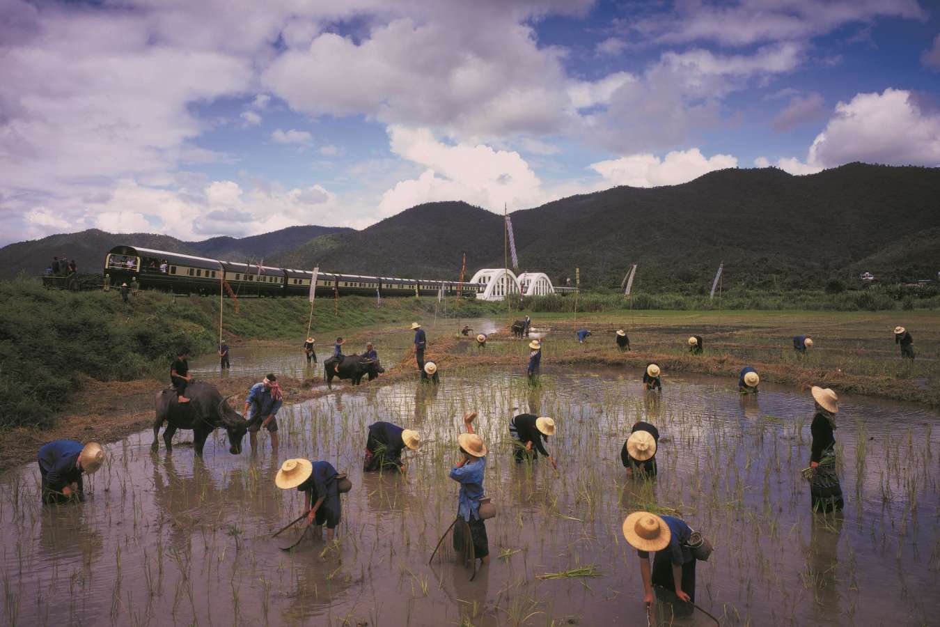 Farming views - Eastern & Oriental Express