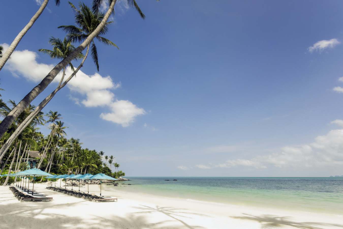 Beach - Four Seasons Koh Samui