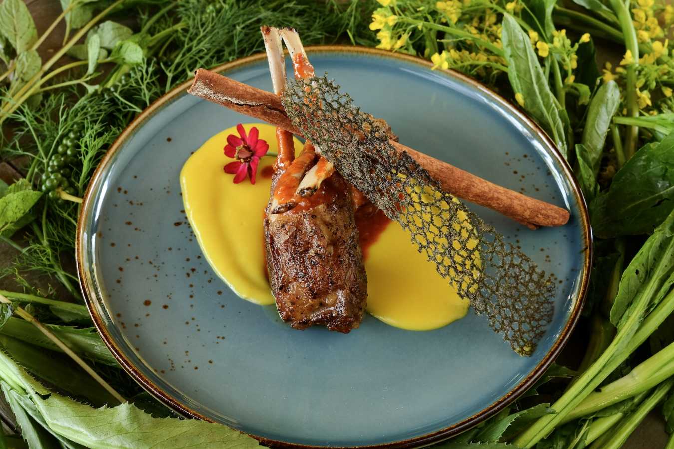 Dinner Plate