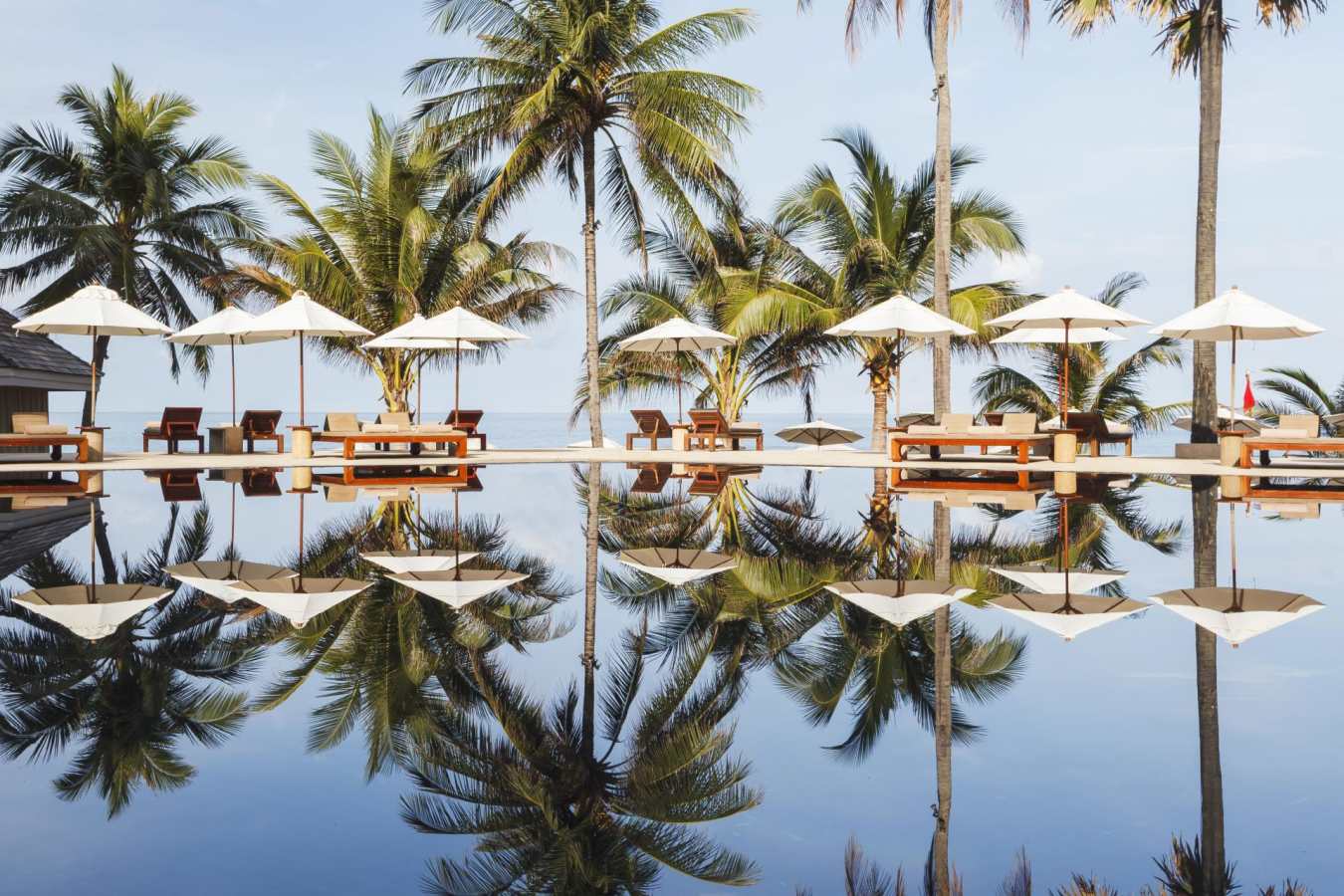 Pool & Palm Trees - The Surin