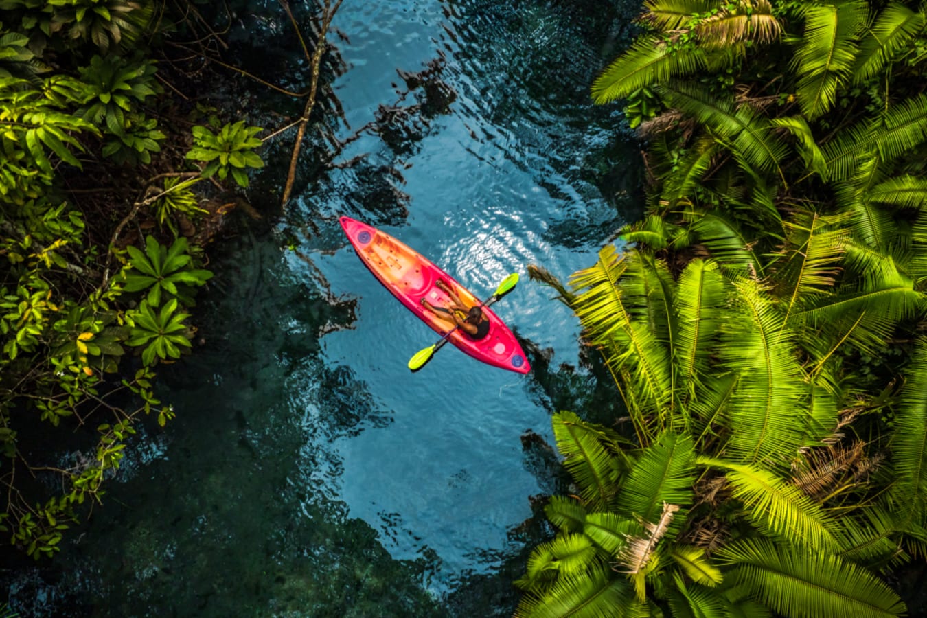 kayak 