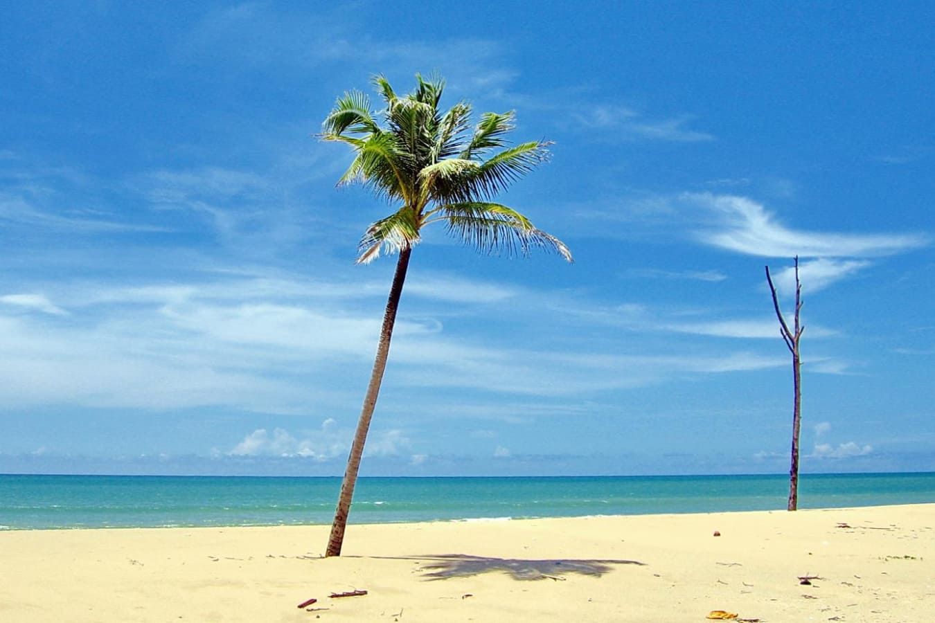Thai Beach