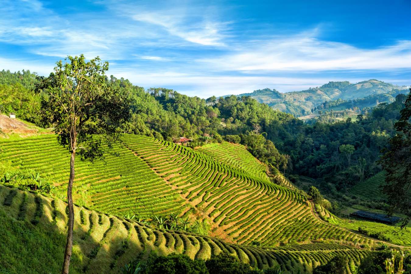 Chiang Rai - Highlights of Thailand