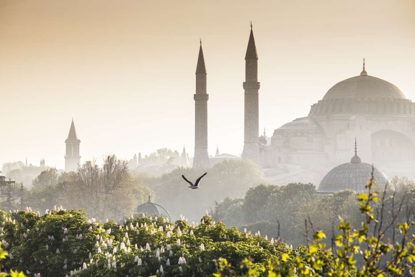 Istanbul