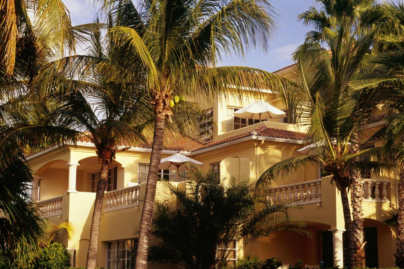 Hotel & Palms - The Grace Bay Club