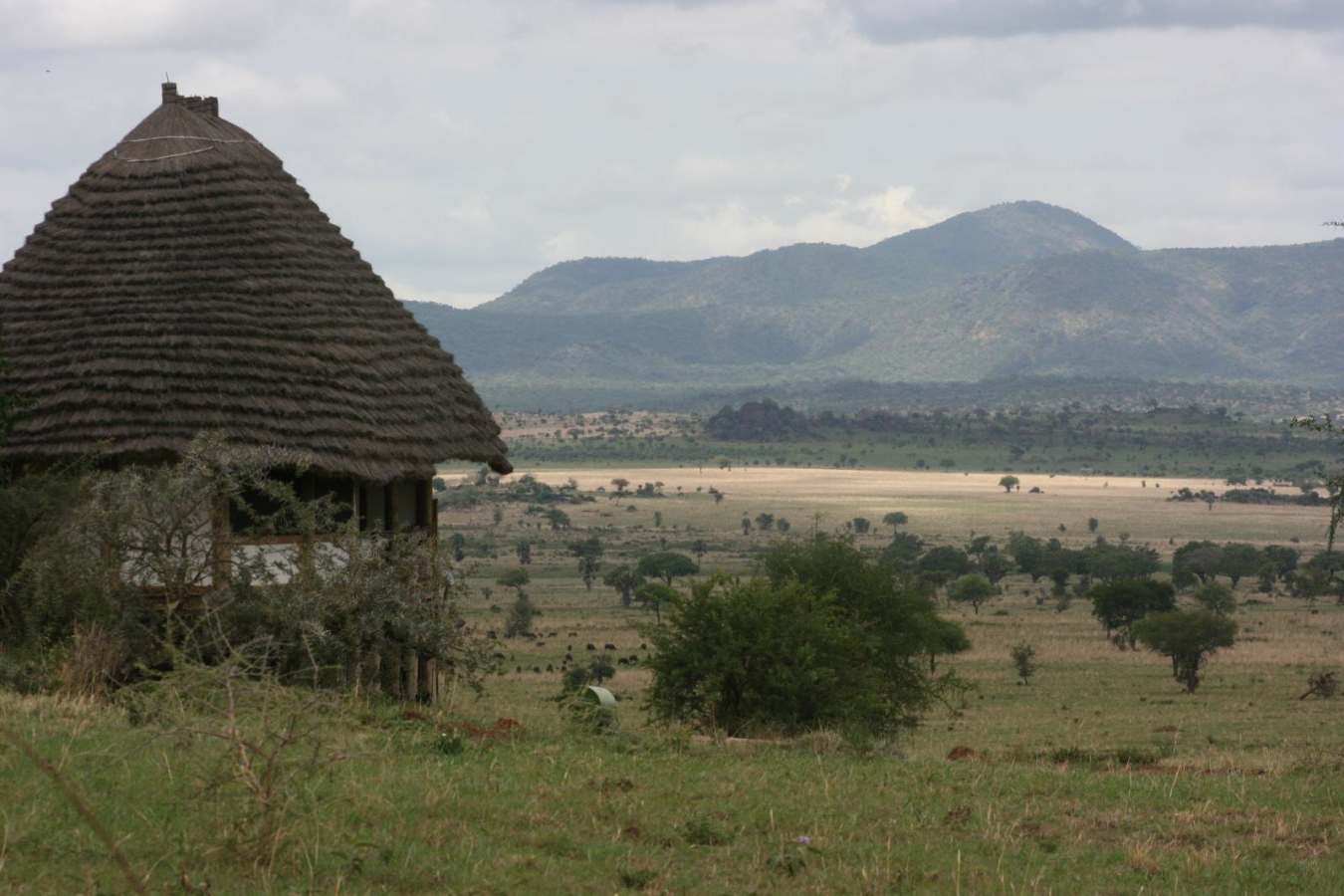A cottage looking over the plains - Apoka Lodge