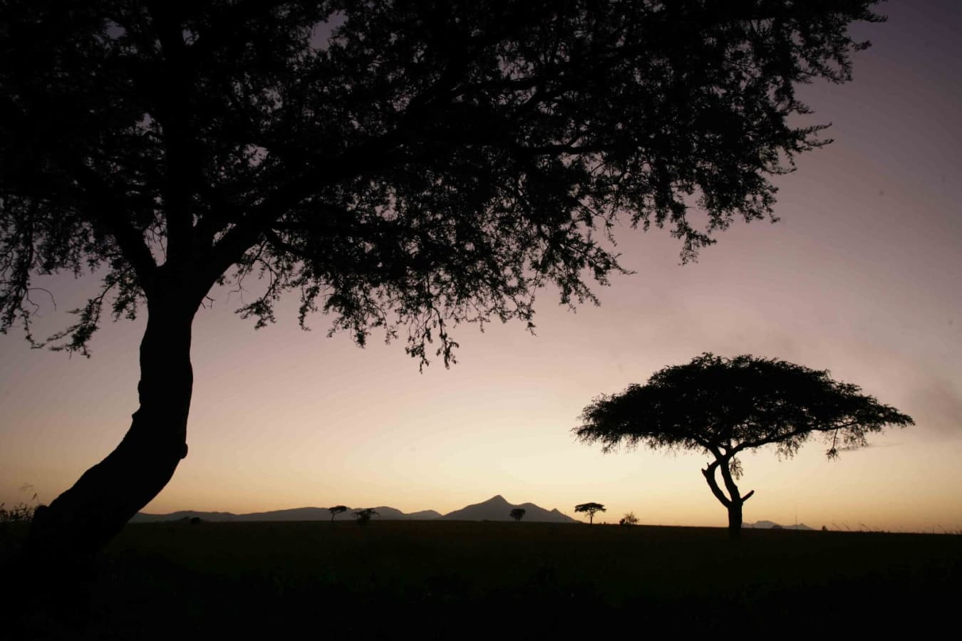 Kidepo National Park at dusk - Apoka Lodge