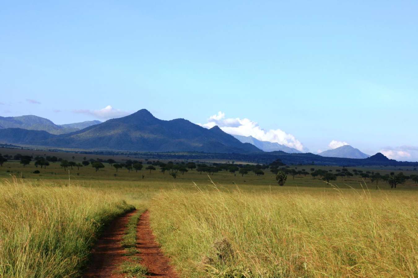 Exploring Kidepo National Park - Apoka Lodge