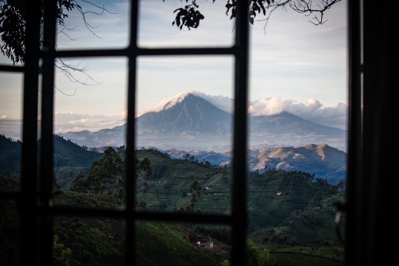 View