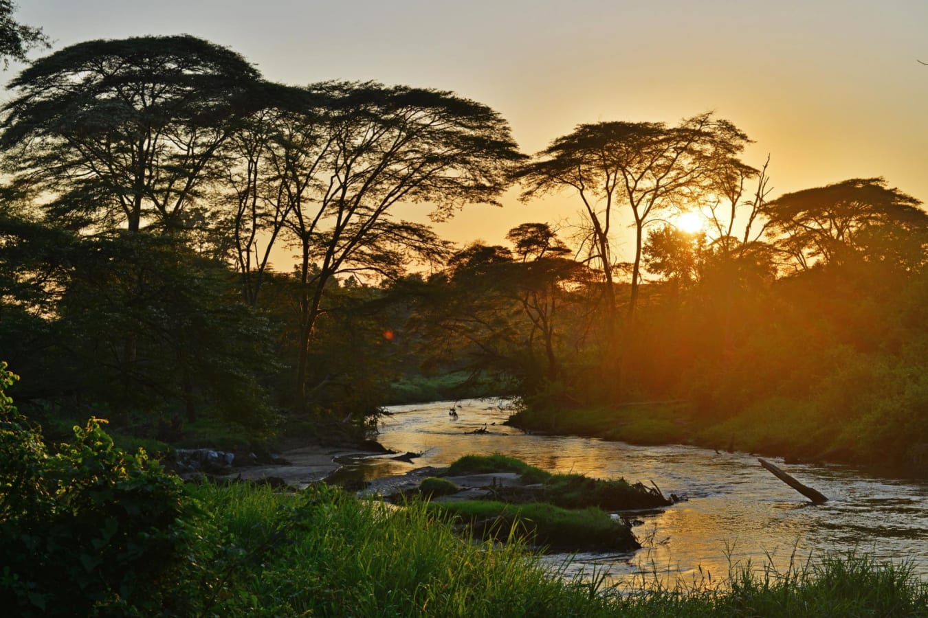 Sunrise over river