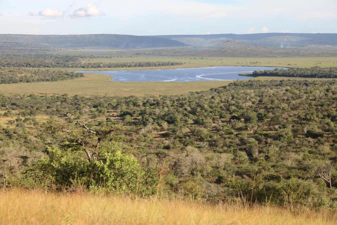Views over Lake Mburo National Park - Mihingo Lodge