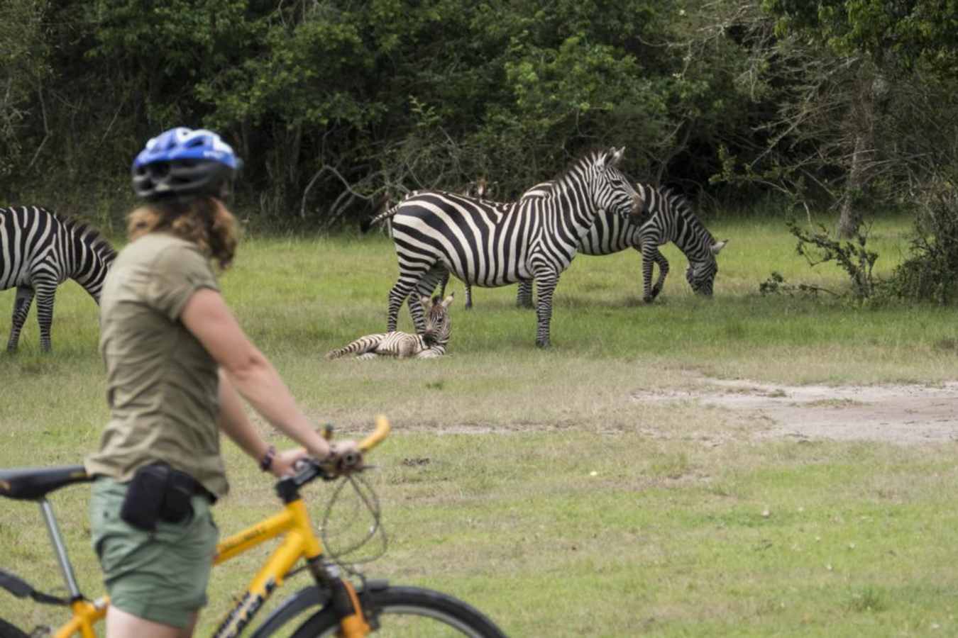 Bike Safari - Mihingo Lodge
