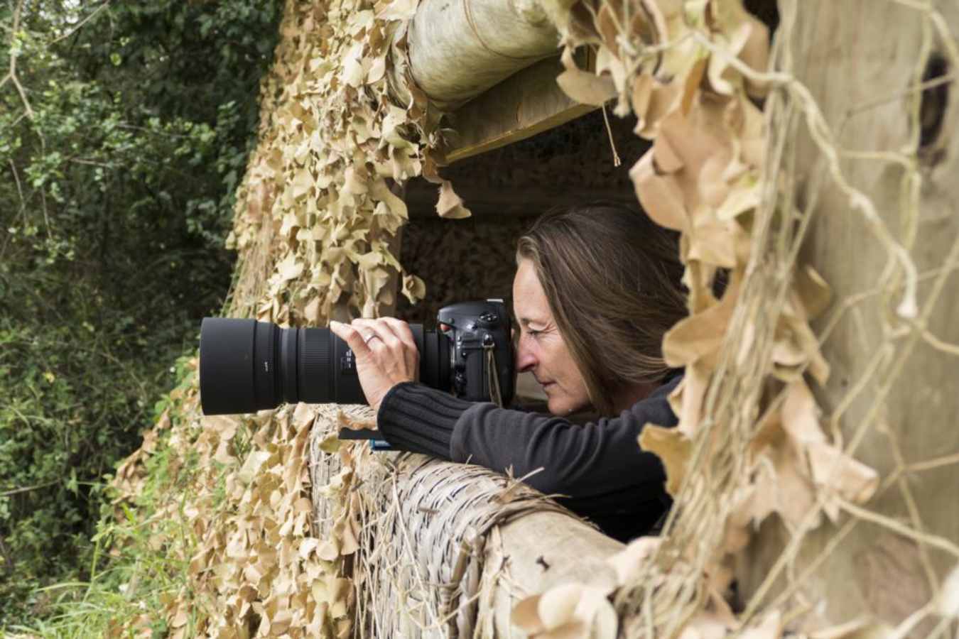 Hide - Mihingo Lodge