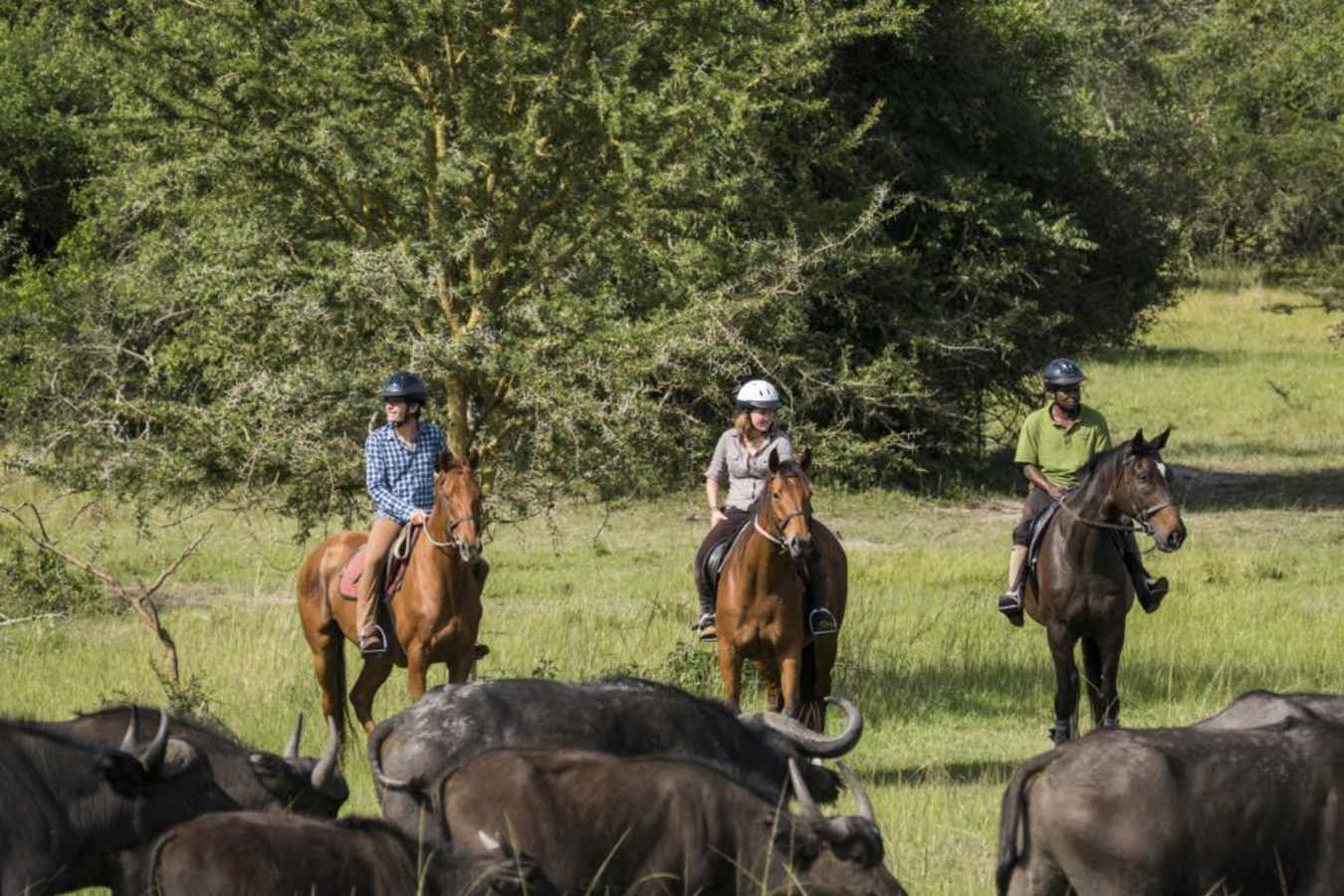 Horseback Safari - Mihingo Lodge