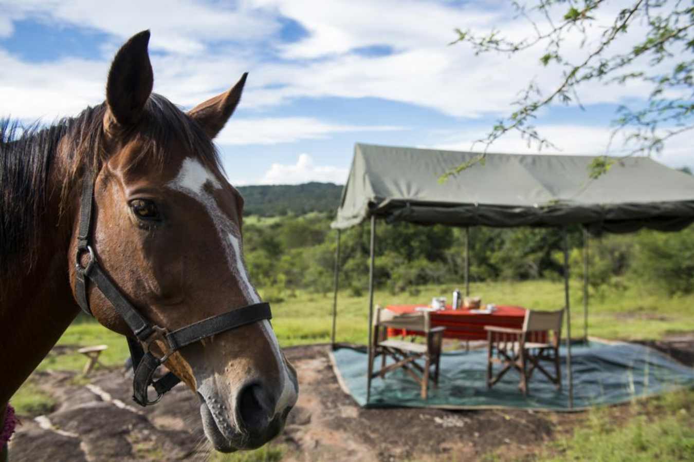 Horseback Safari - Mihingo Lodge