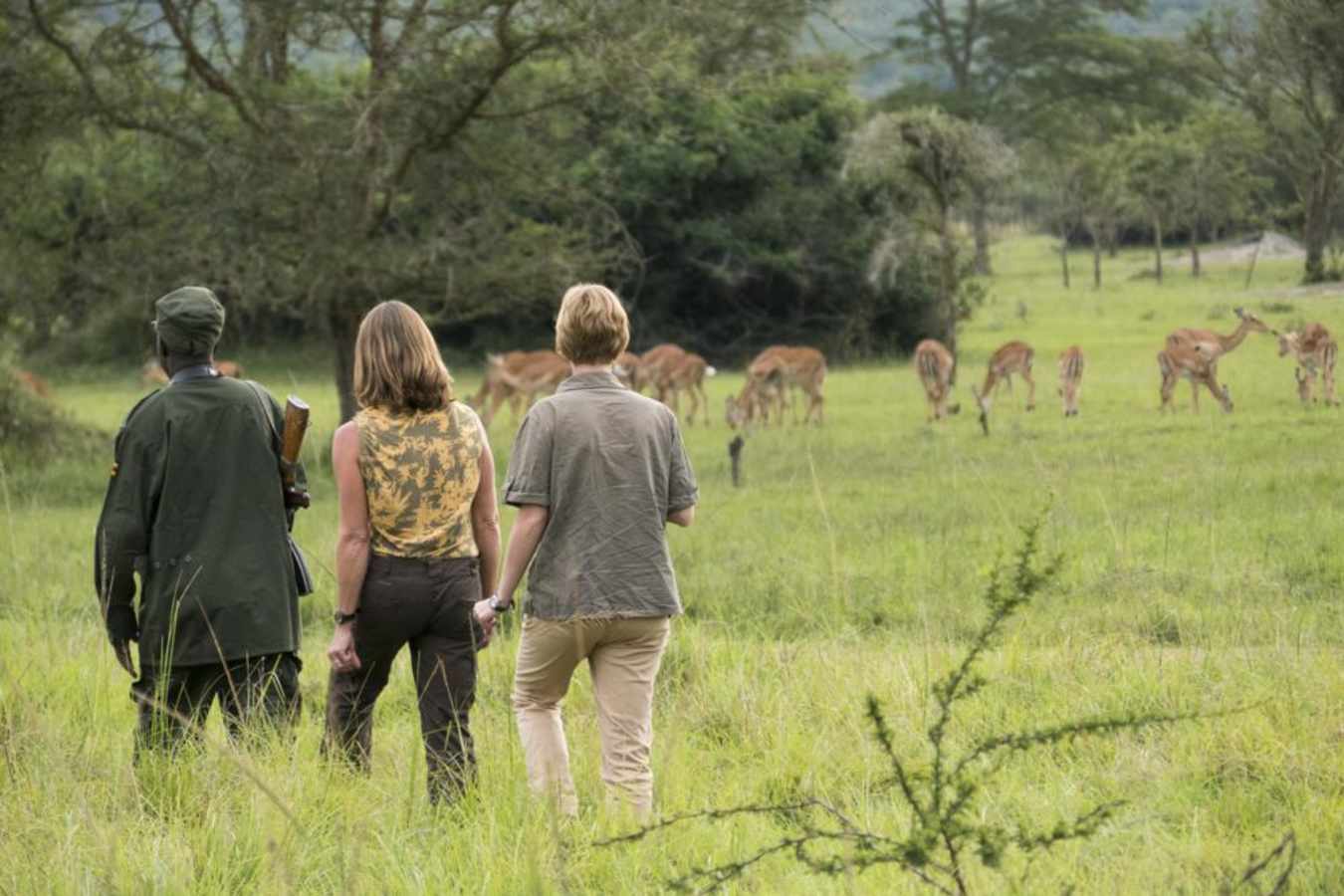 Walking Safari - Mihingo Lodge