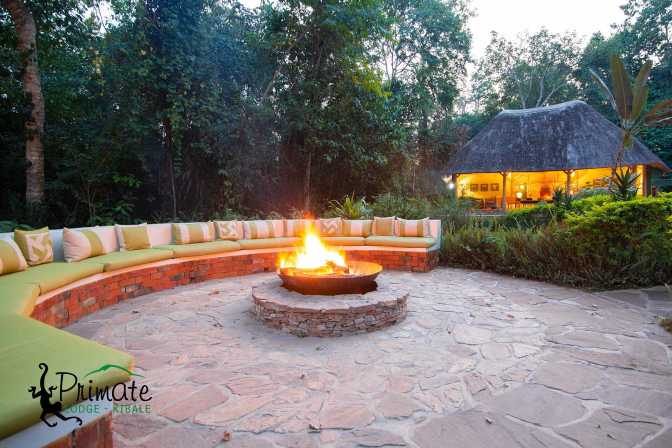 Fire Pit in Forest