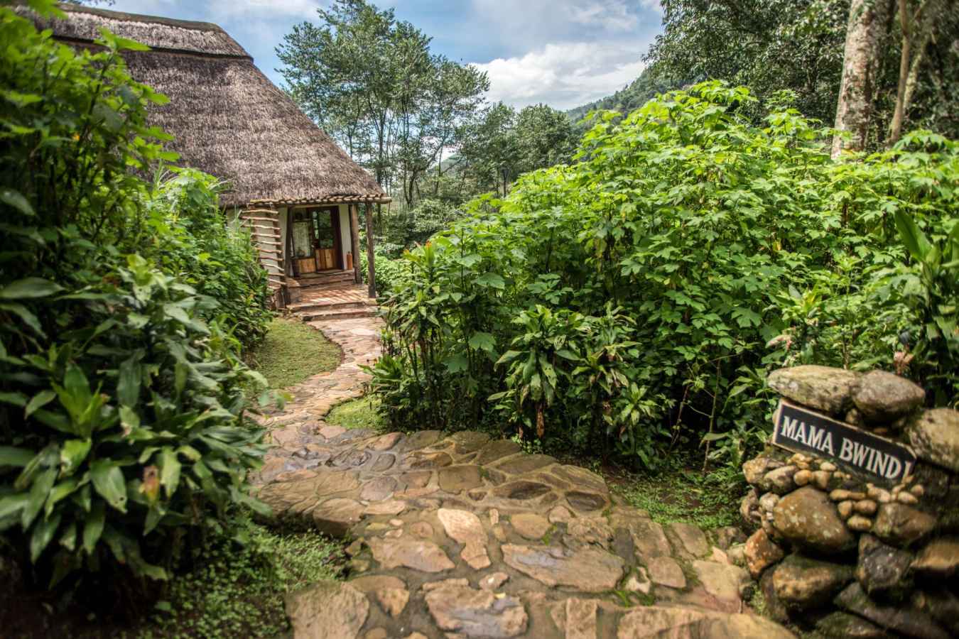 Path to a cottage - Volcanoes Bwindi Lodge