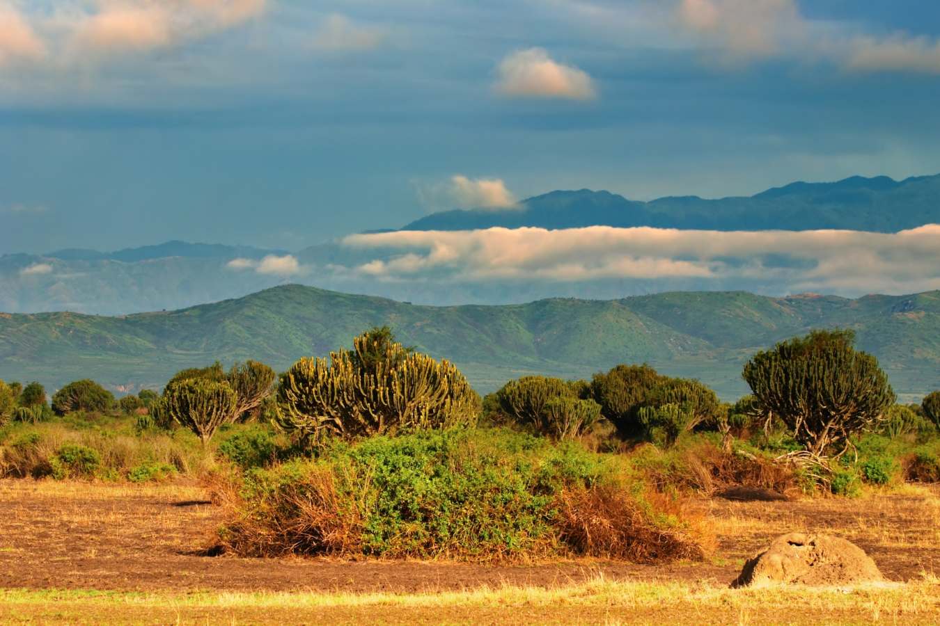 Queen Elizabeth National Park  - The Wonders of Western Uganda