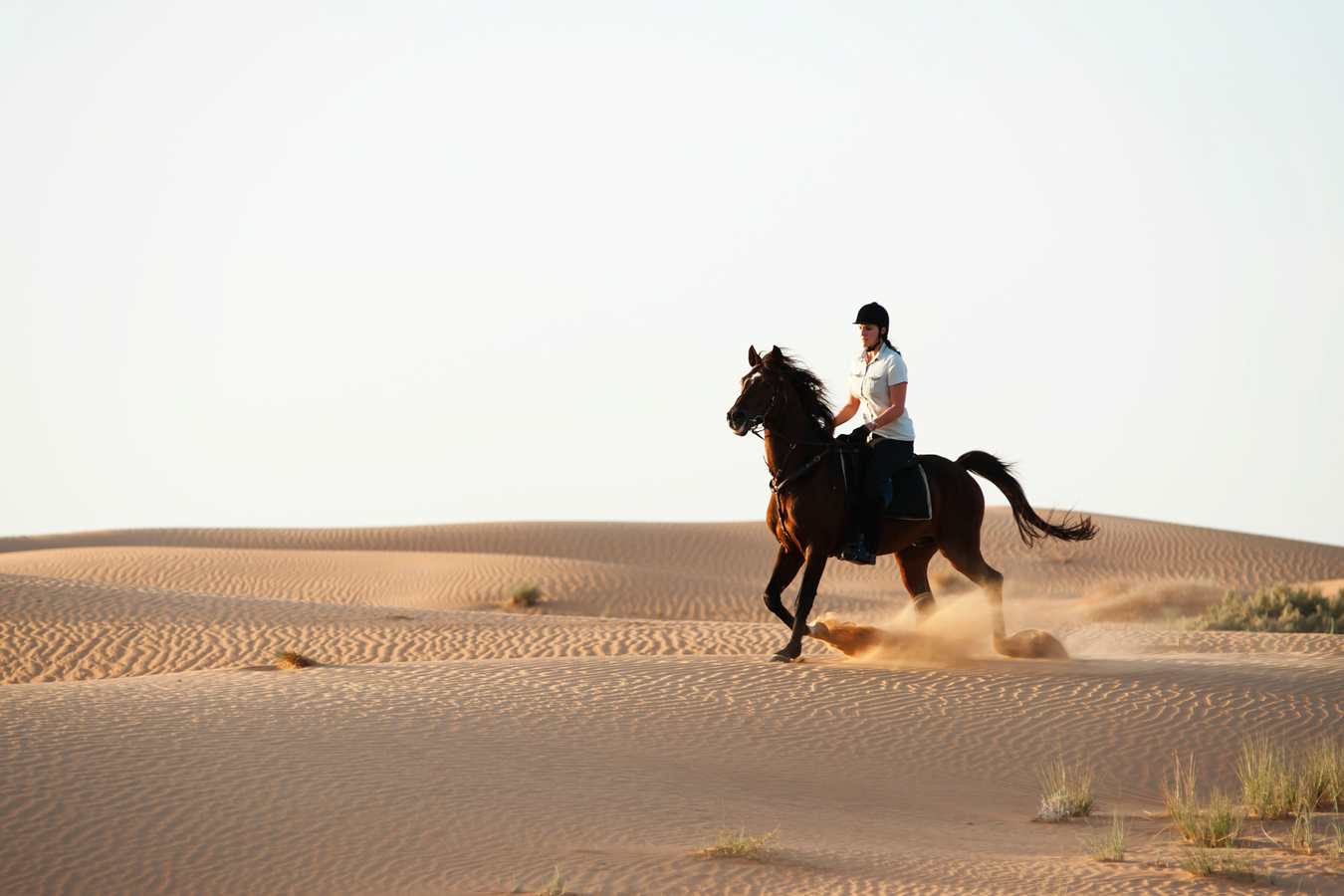 Riding on the dunes - Al Maha Desert Resort and Spa