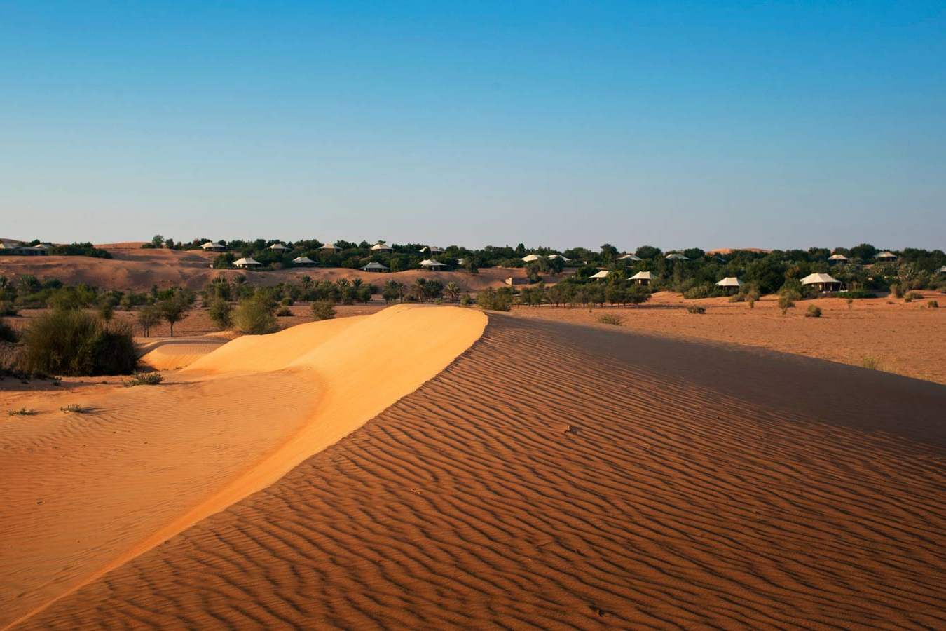 Al Maha from the Dunes - Al Maha Desert Resort and Spa