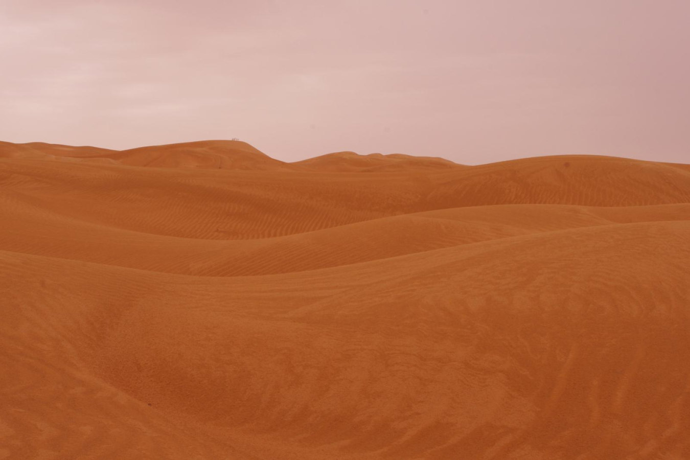 Sand Dunes - Qasr Al Sarab