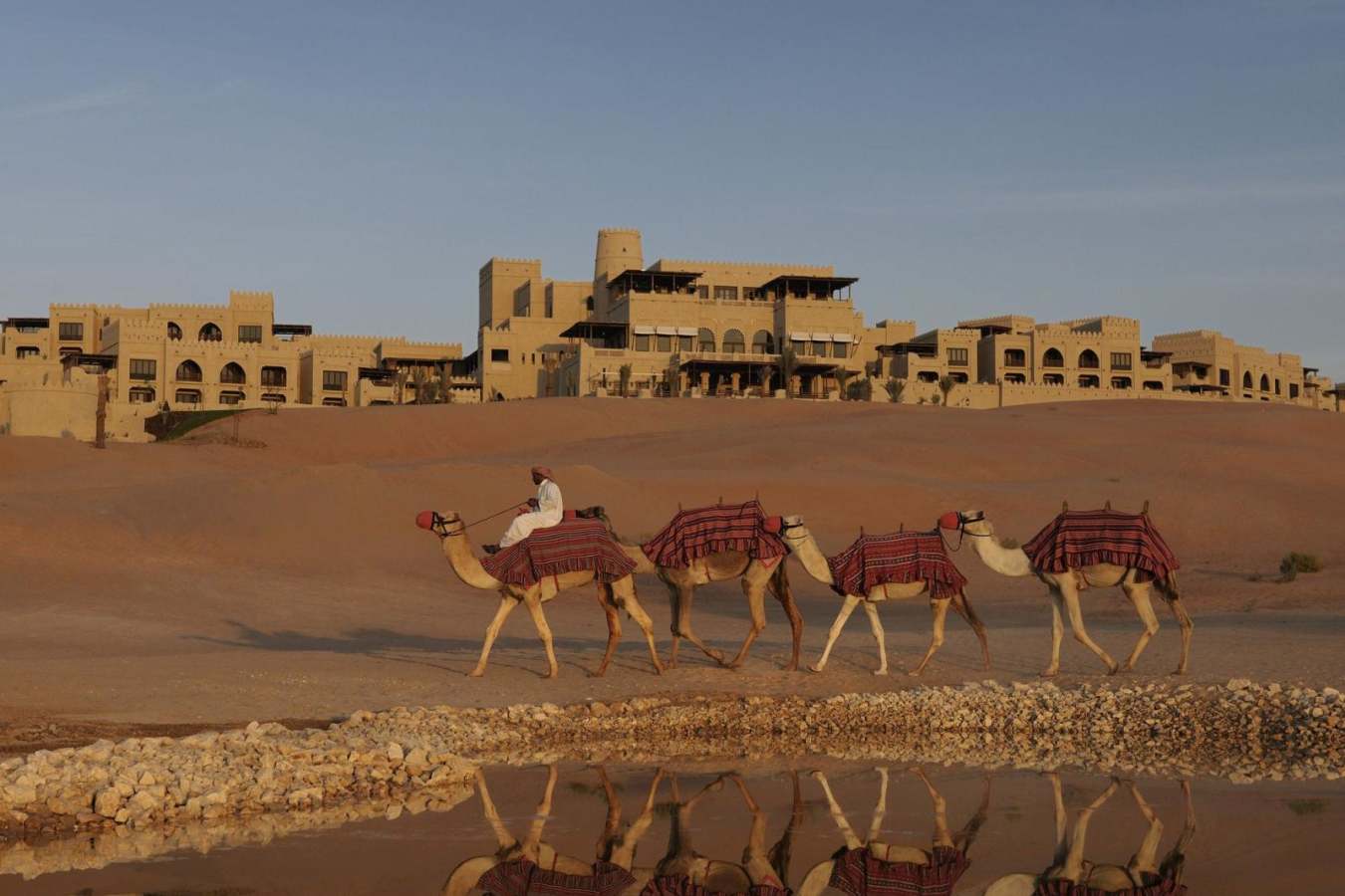 Camels - Qasr Al Sarab