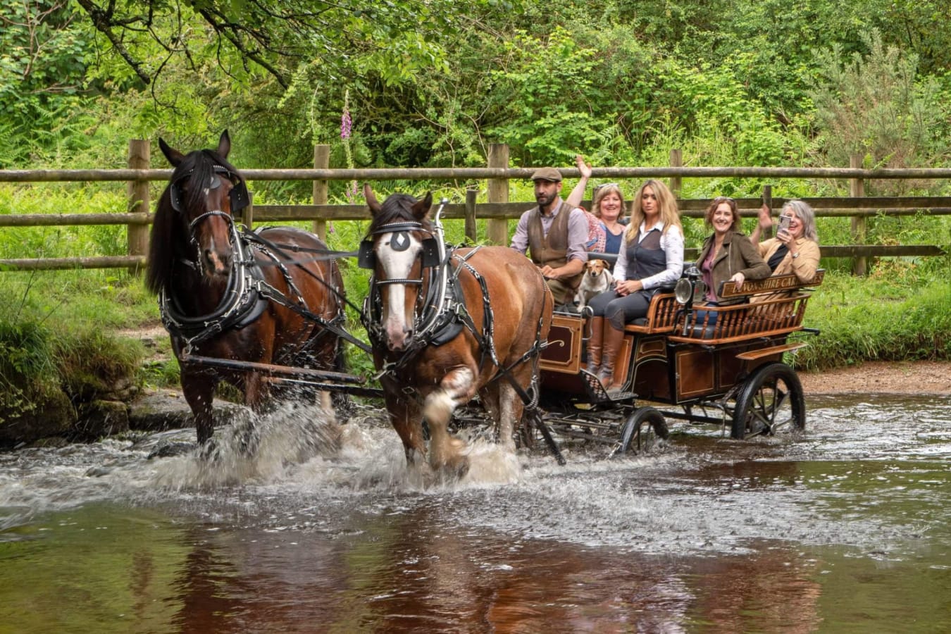 Bovey Castle - Carriage ride