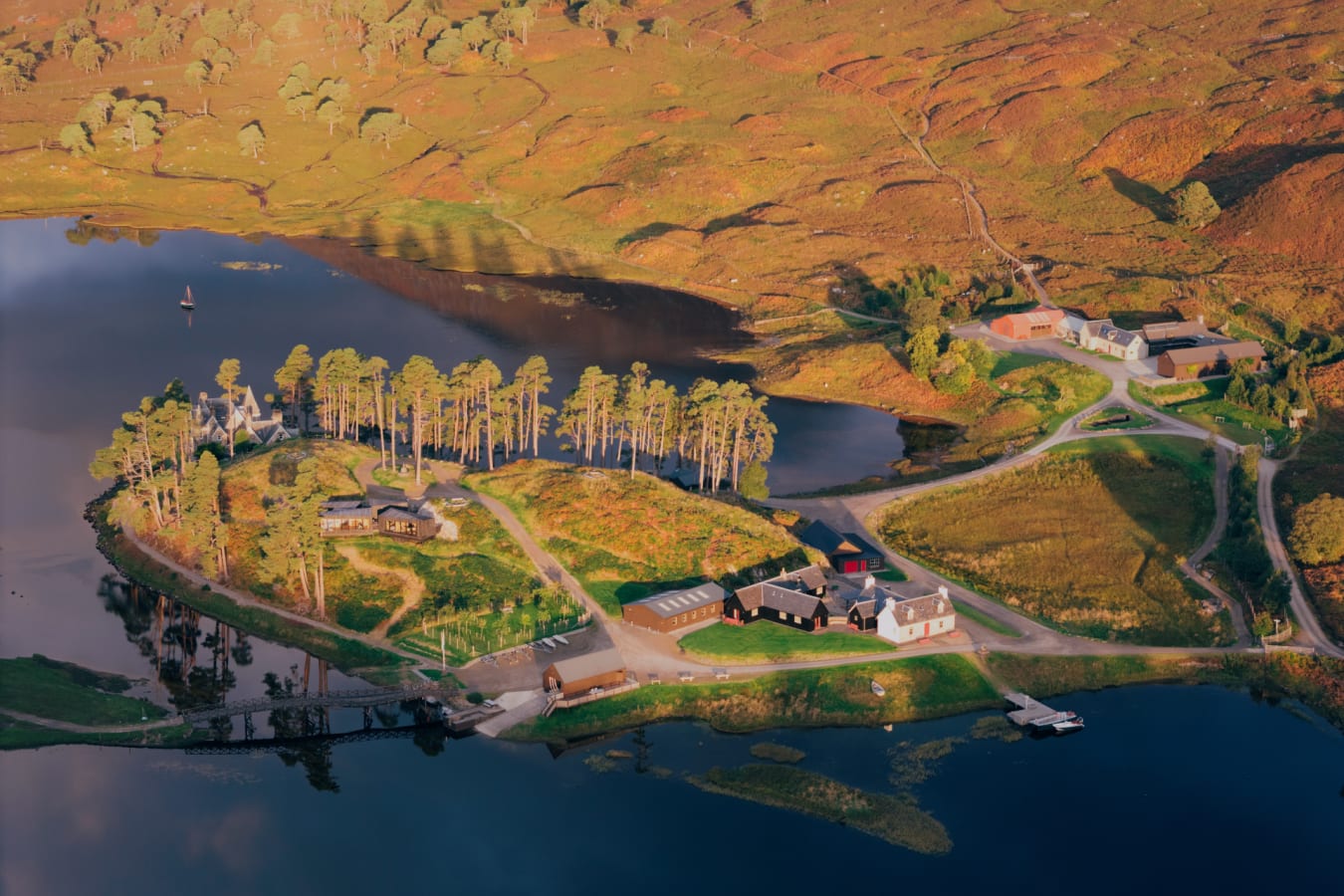 Aerial View Autumn 