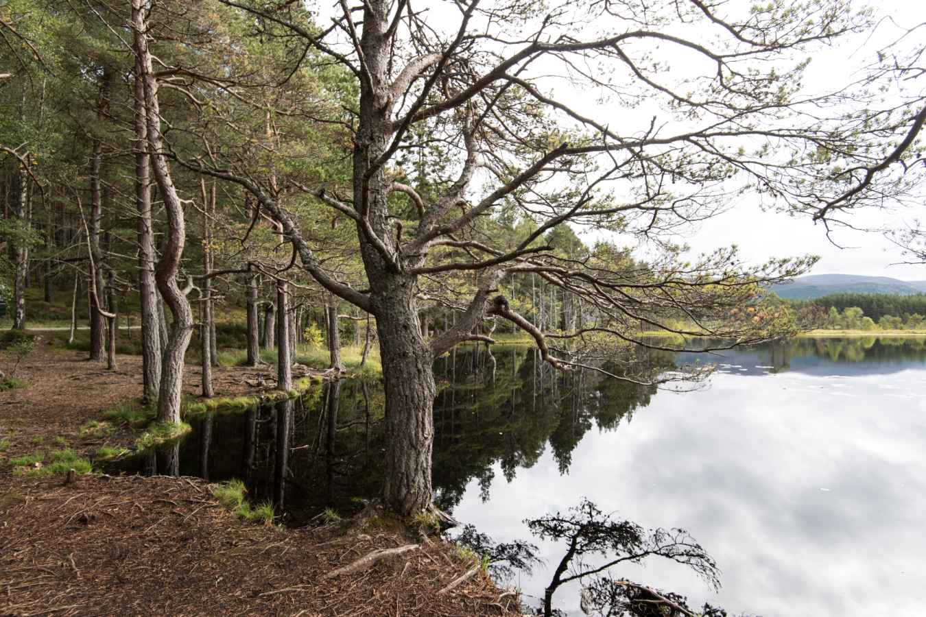 Loch - Killiehuntly