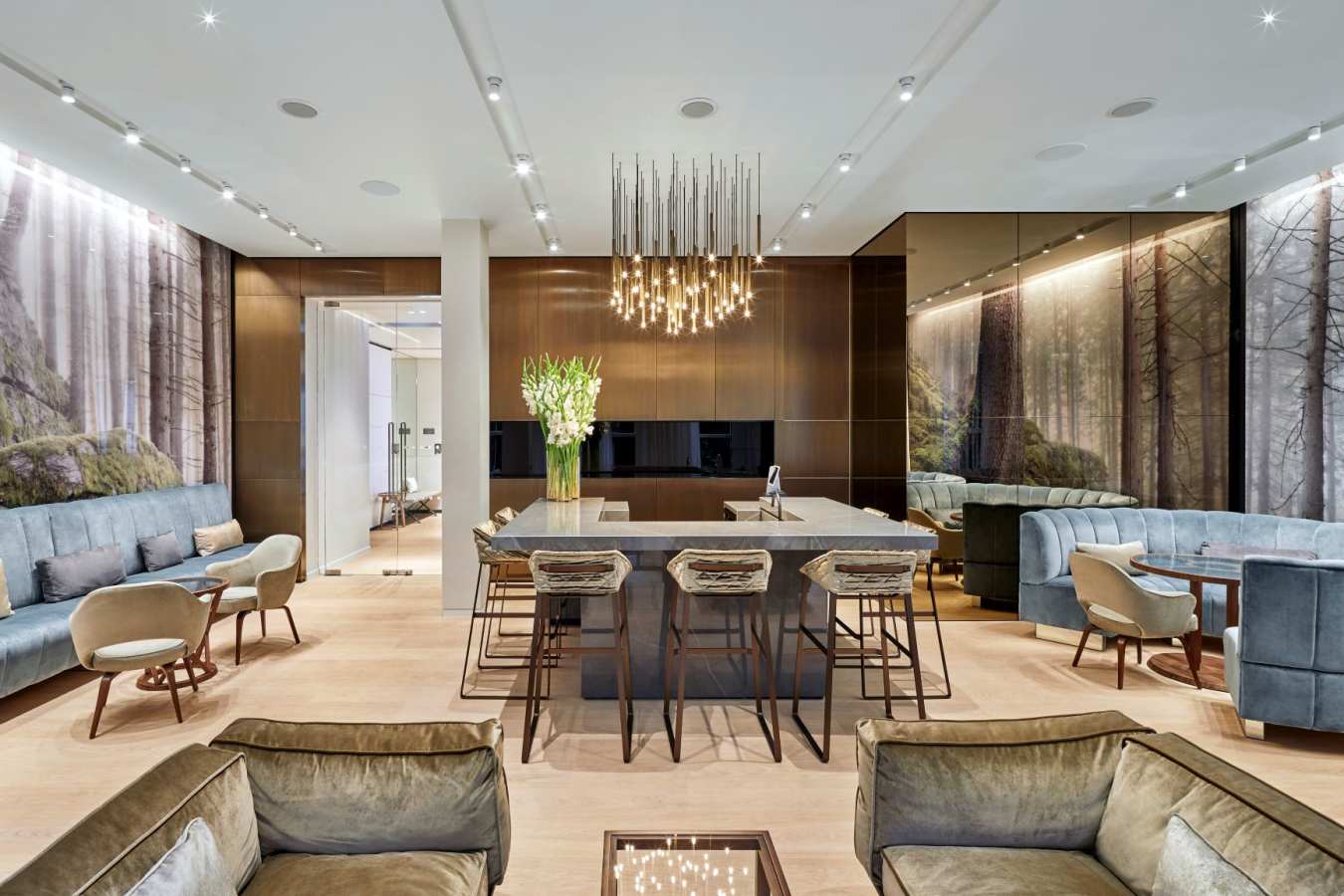 Lanserhof members lounge 