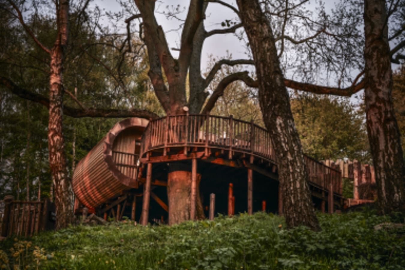 tree house