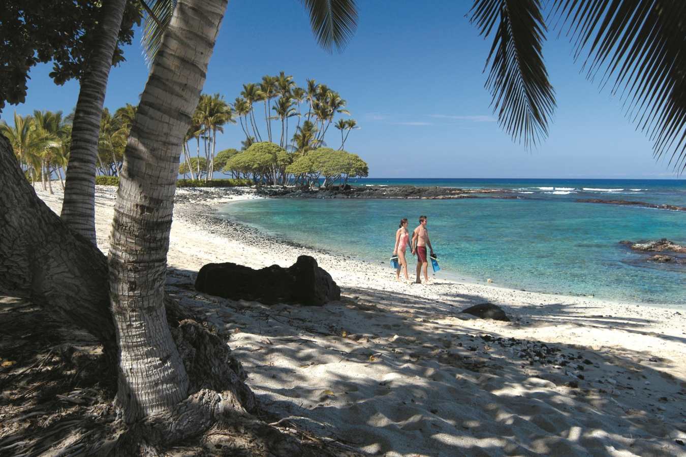 Beach - Fairmont Orchid