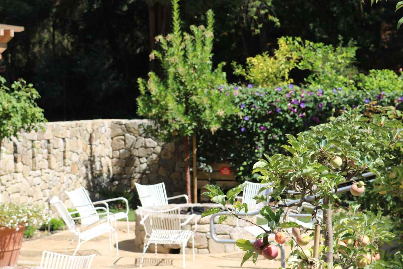 Beautiful gardens - The Farmhouse Inn and Restaurant