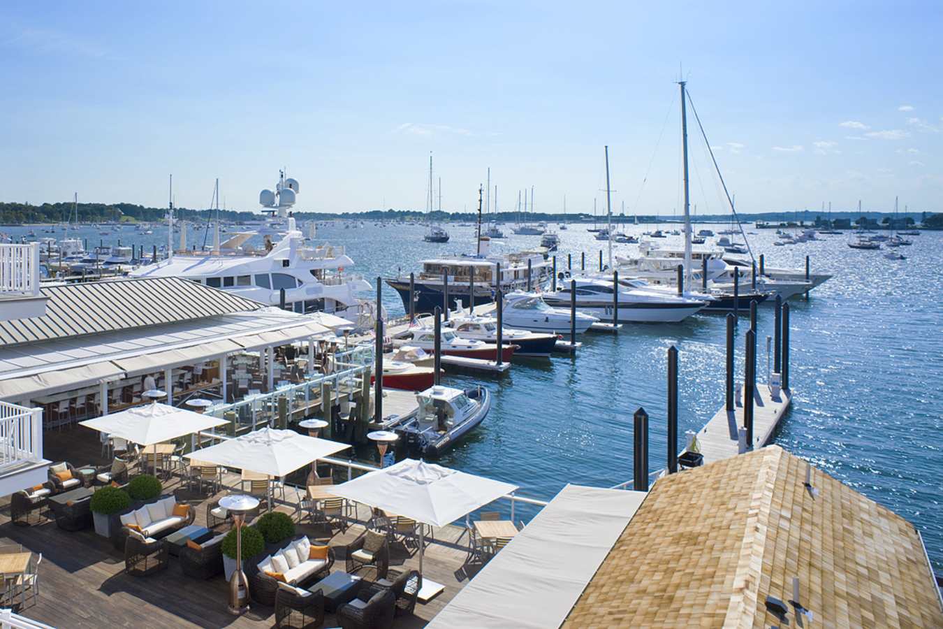 Marina - Forty 1 North