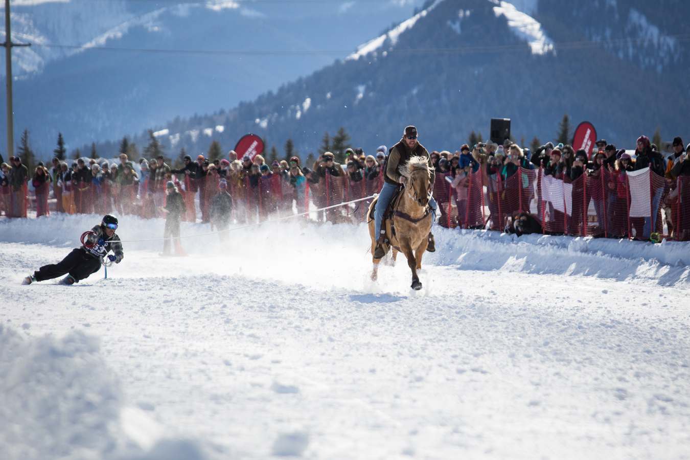 Skijoring - Jackson Hole
