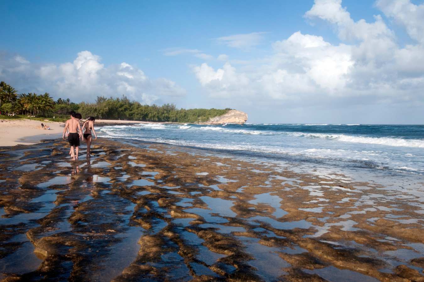 Beach -  Grand Hyatt Kauai Resort and Spa