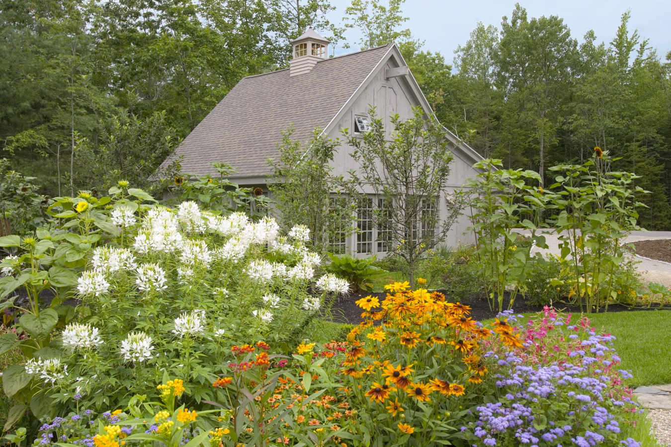 The Farm - Hidden Pond