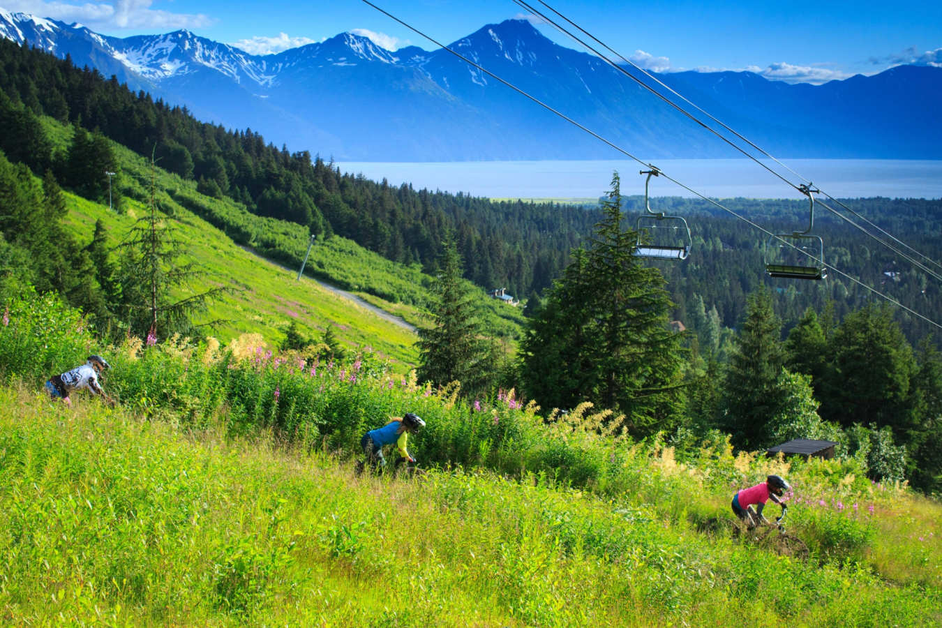 Bike Park - The Hotel Alyeska