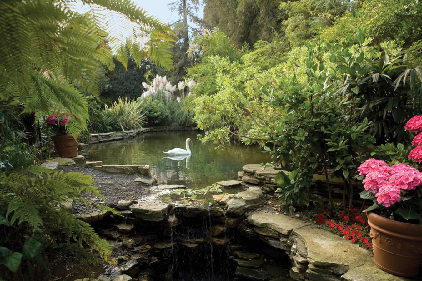 Swan Lake - Hotel Bel-Air