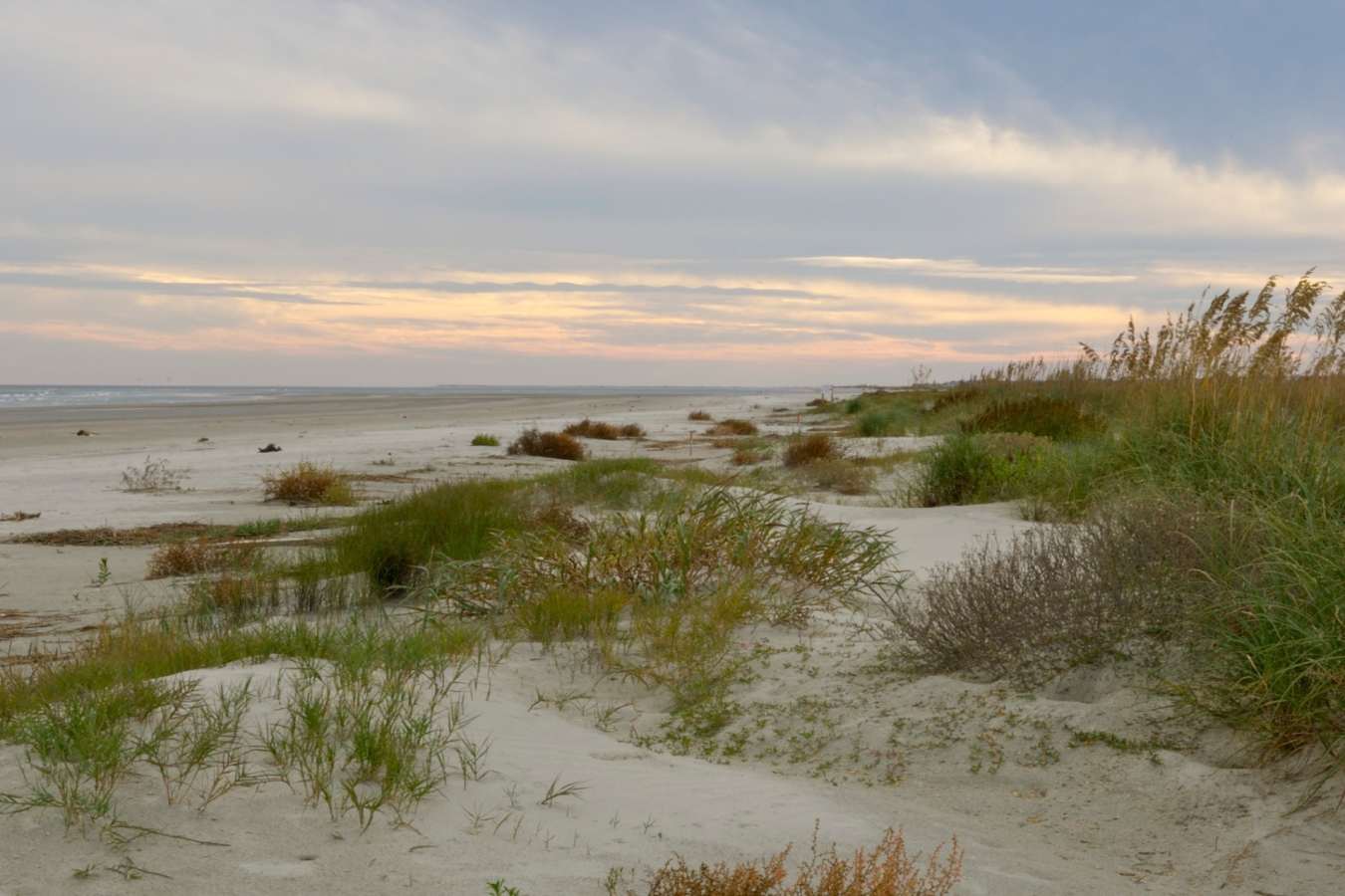 Sand Dunes - Kiawah Island Golf Resort