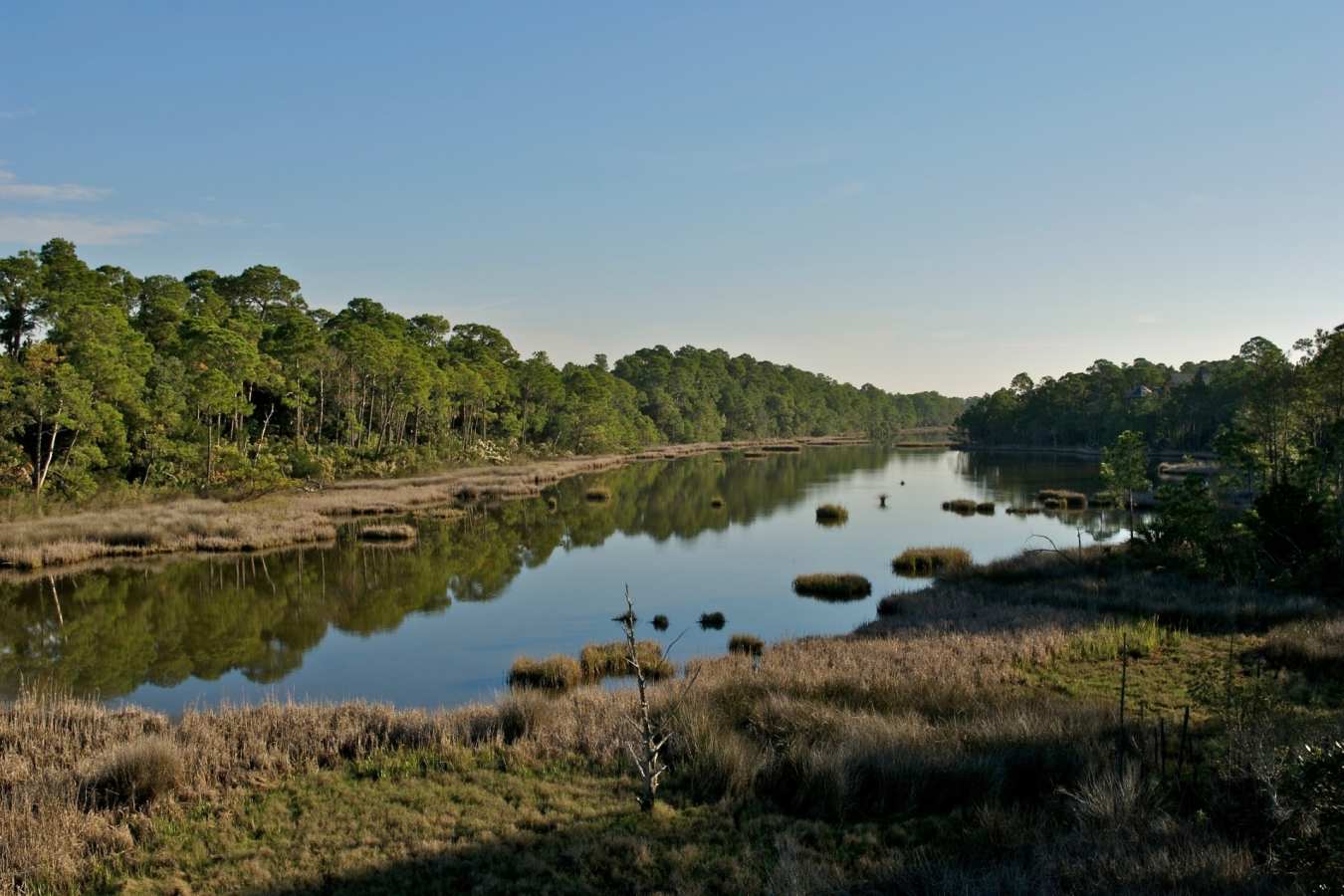 Marsh Pond - Kiawah Island Golf Resort
