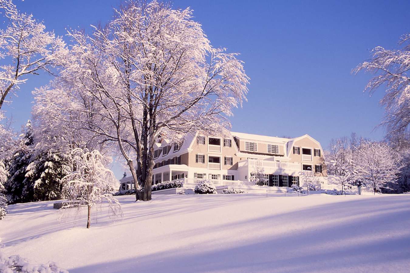 Winter scenery - The Mayflower Grace