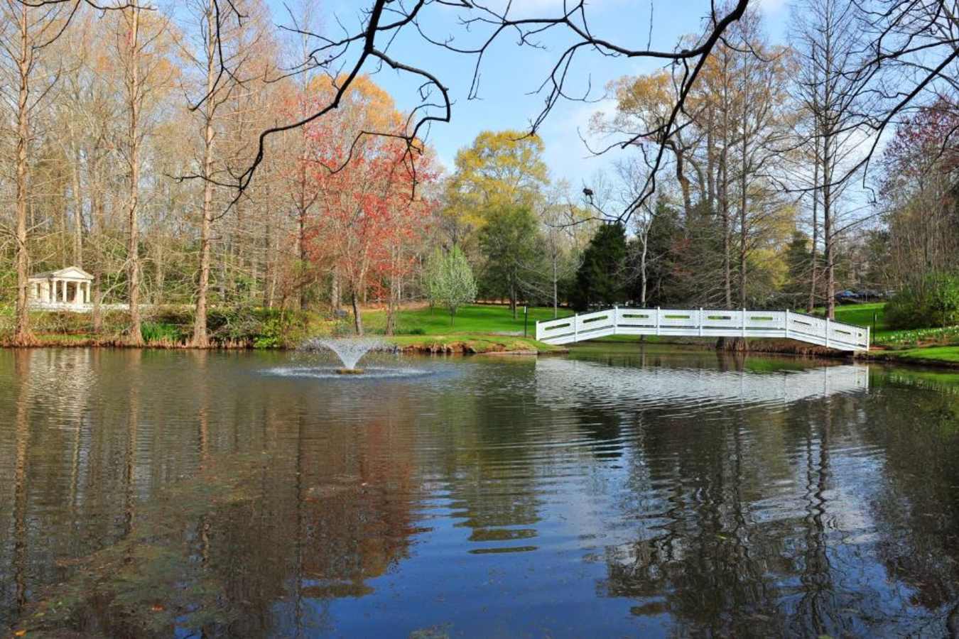 water landscape